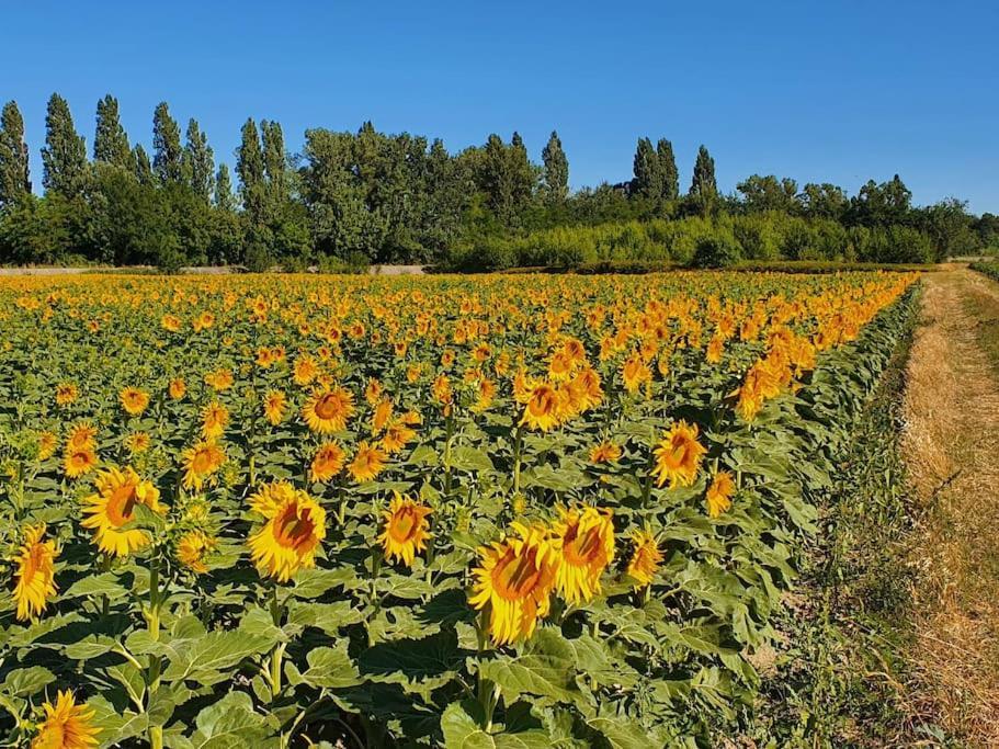 L'Ardeche En Provence Avec Jardin Ombrage Βίλα Pont-Saint-Esprit Εξωτερικό φωτογραφία